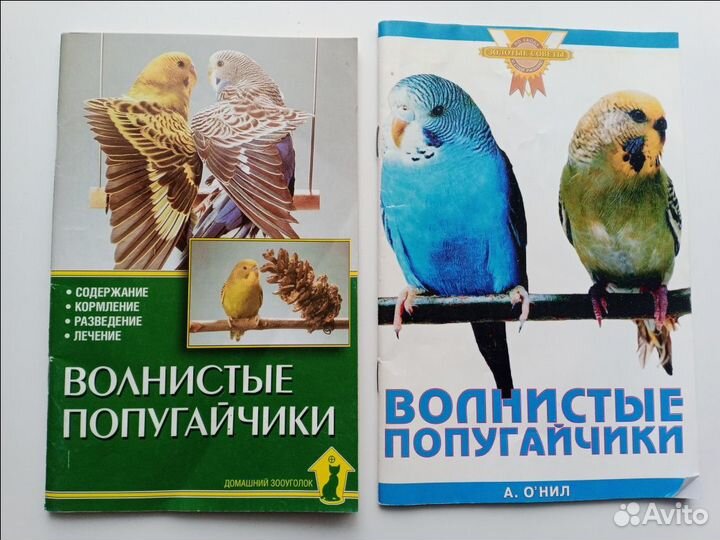 Книги про попугаев