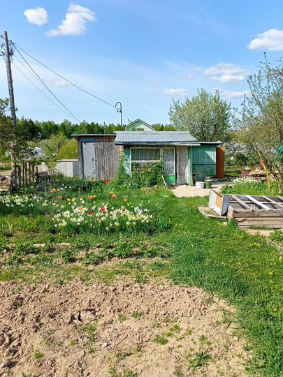 Участок 8,8 сот. (СНТ, ДНП)