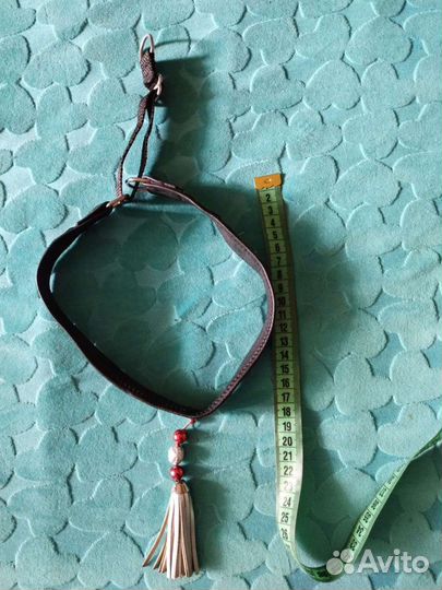 Ошейник на выставку