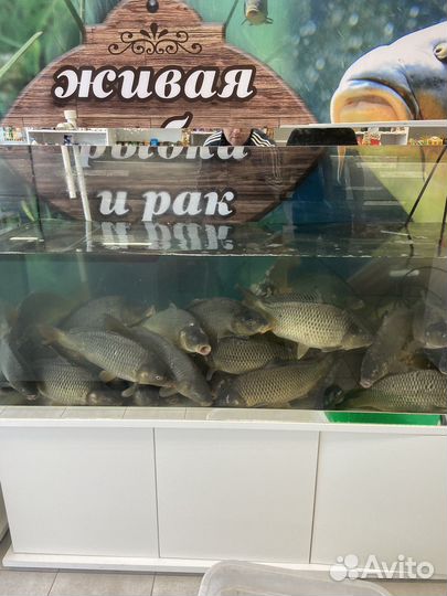 Аквариум 740 литров