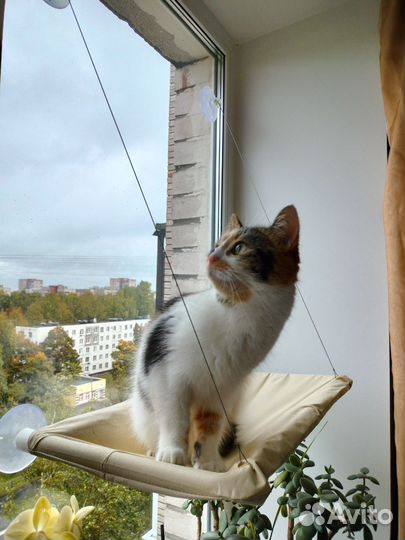 Лежанка гамак для кошек на окно