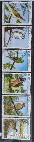 Куба. Фауна. 49 марок, начиная с 1969 года