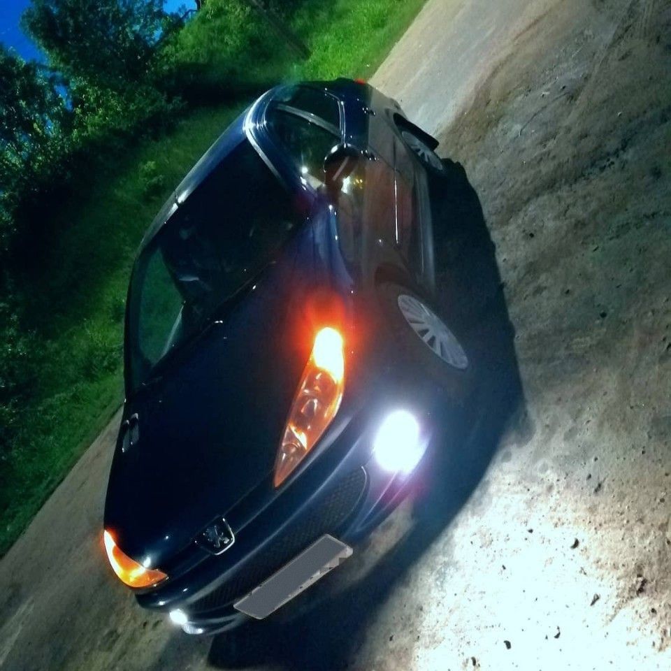 Peugeot 206: фото владельца