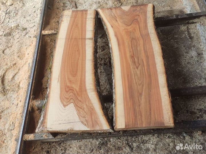 Слэб из карагача