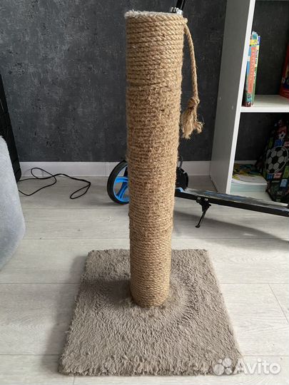 Кошка Маруся