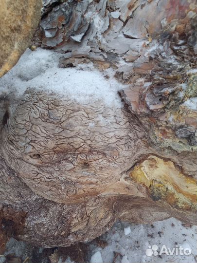 Пиломатериалы брус доска лес