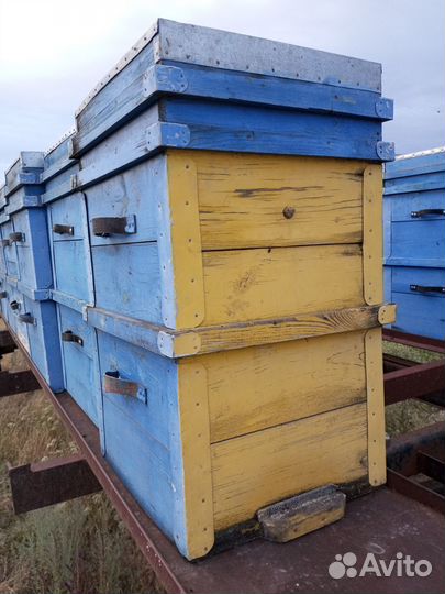 Платформа с ульями для пчёл