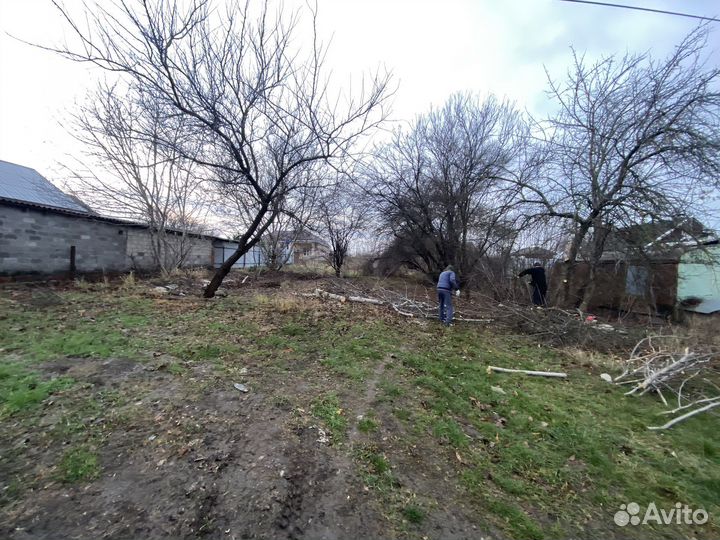 Спил деревьев уборка участков