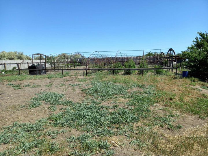 Участок 12 сот. (ИЖС)