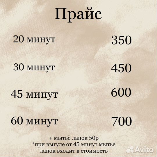 Выгул/няня для собак и кошек