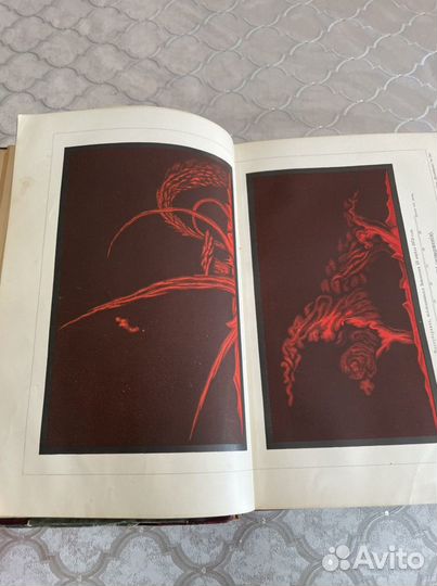 История Земли