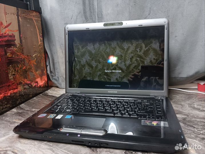 Ноутбук Toshiba
