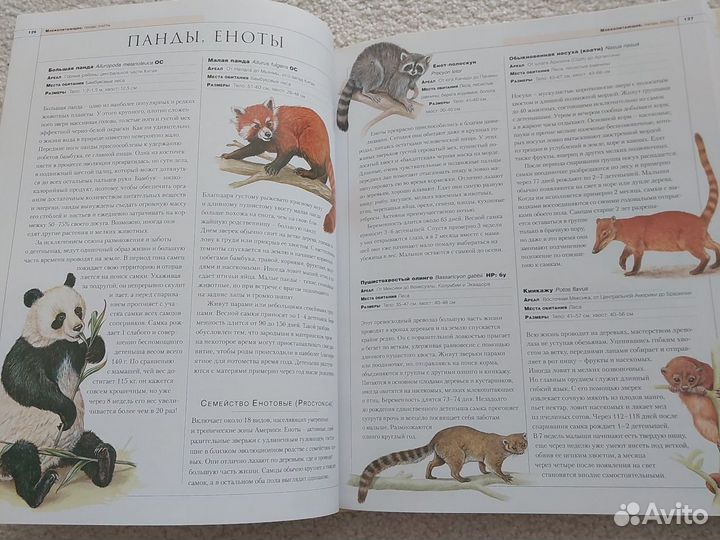 Книги про животных