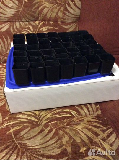 Ящик для рассады