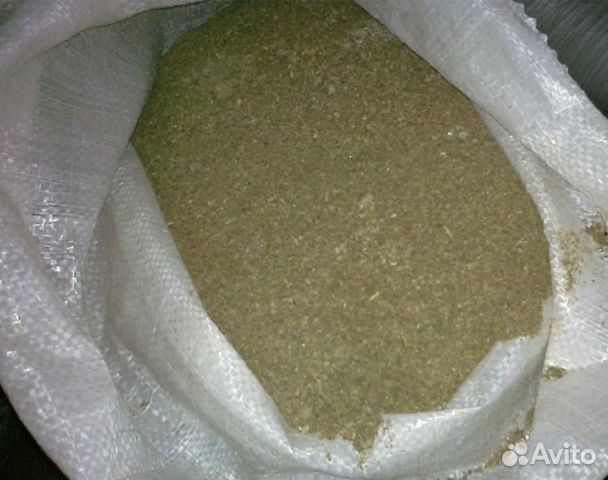 Ракушка кормовая морская