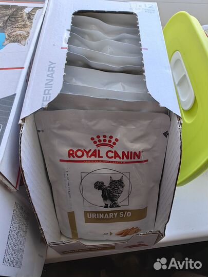 Royal Canin urinary so паштет для кошек