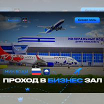 Проход (пропуск) в бизнес зал Минеральные Воды MRV