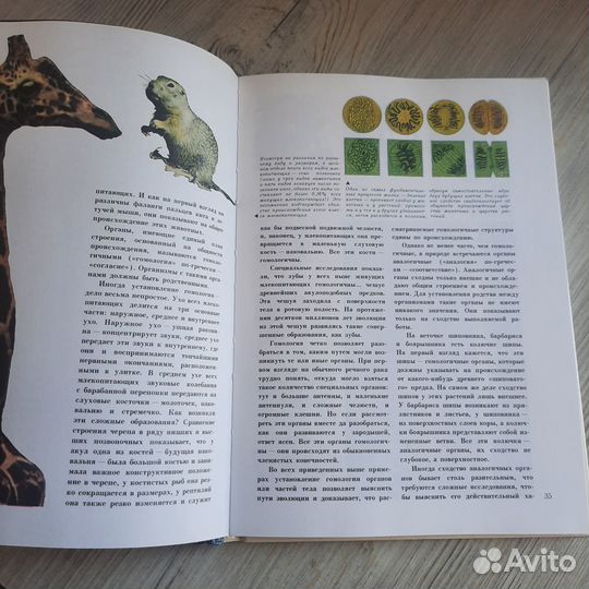 Мир эволюции. Яблоков. 1985 г