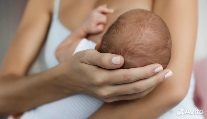 Дипломированный консультант по лактации (гв)