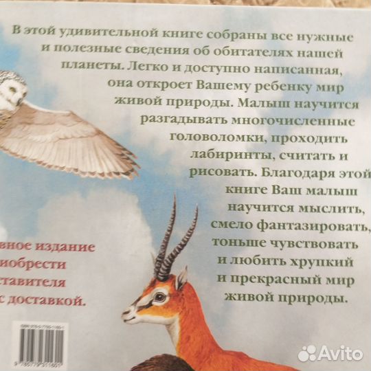 Книга