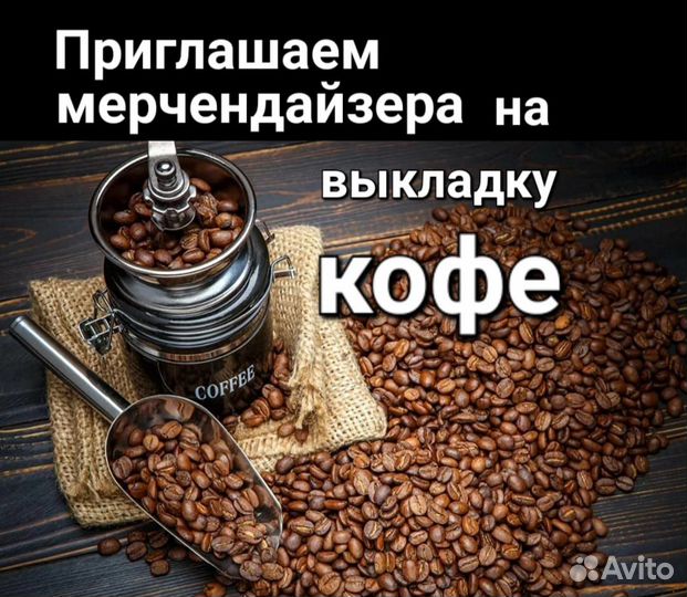 Старший мерчендайзер г.Челябинск с авто