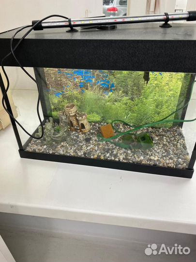 Аквариум