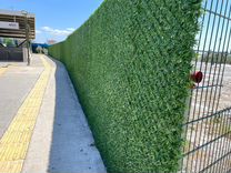 Зеленый Забор\Зеленая Изгородь 1250 за метр квадр