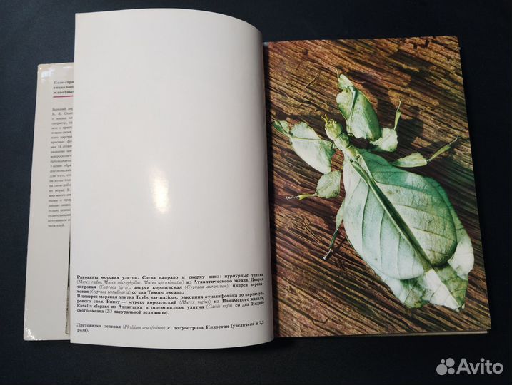 Иллюстрированная энциклопедия животных, 1983