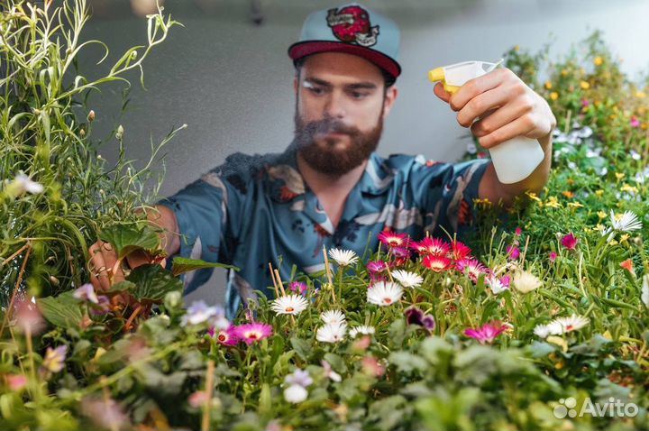 Начни зарабатывать на своей ситиферме