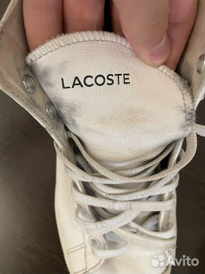 Lacoste кеды мужские