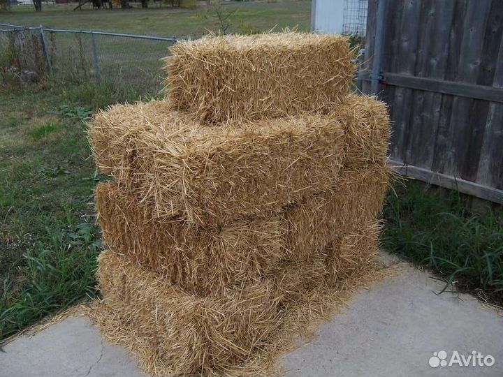 Солома