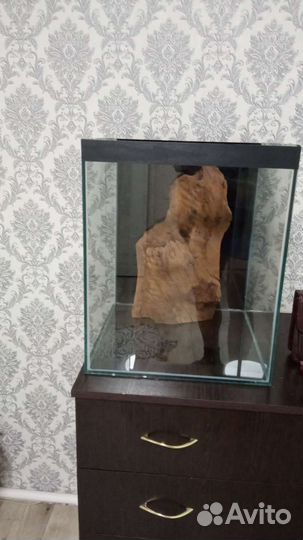 Обслуживание аквариумов