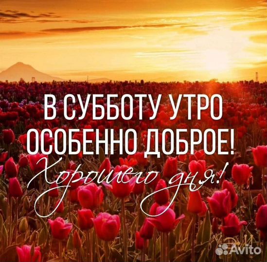 Изготовления печатей м. Строгино