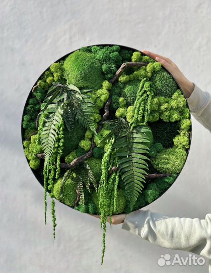 Панно 50 см из стабилизированного мха