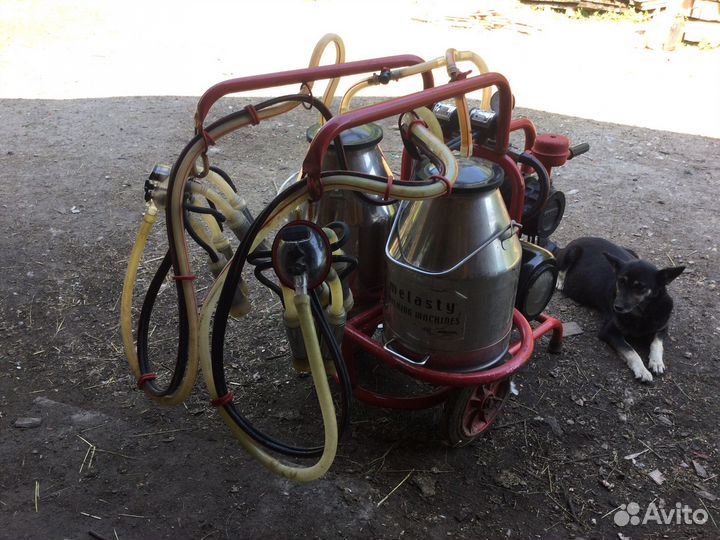 Доильный аппарат для коров melasti