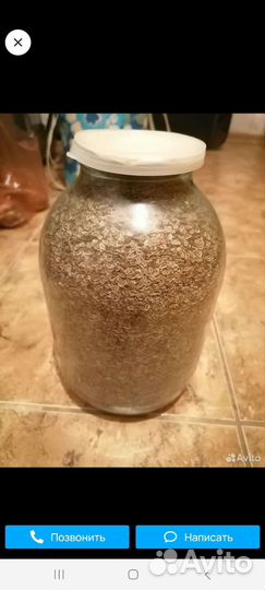 Семена укропа