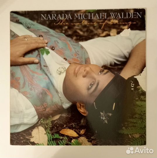 LP Narada Michael Walden–The Nature Of Things 1985
