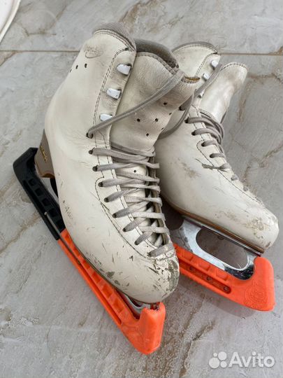 Фигурные коньки edea chorus 240