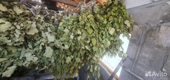 Веники для бани