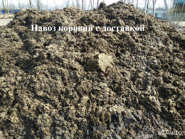 Навоз коровий