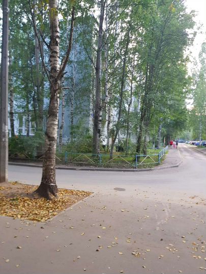 1-к. квартира, 30,1 м², 1/5 эт.