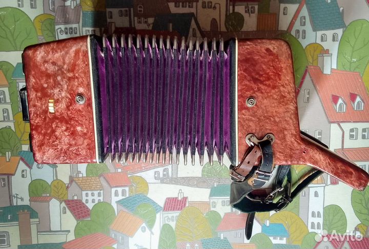 Аккордеон юность 2