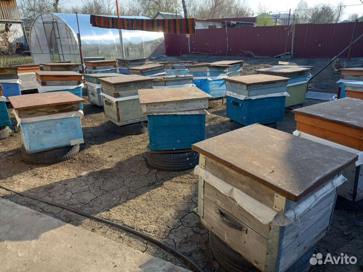 Ульи для пчёл