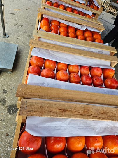 Хурма огонёк