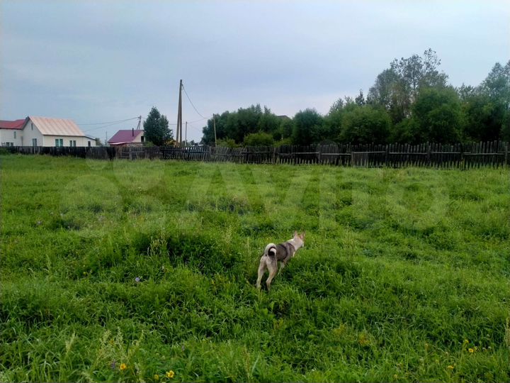 Участок 20 сот. (ИЖС)