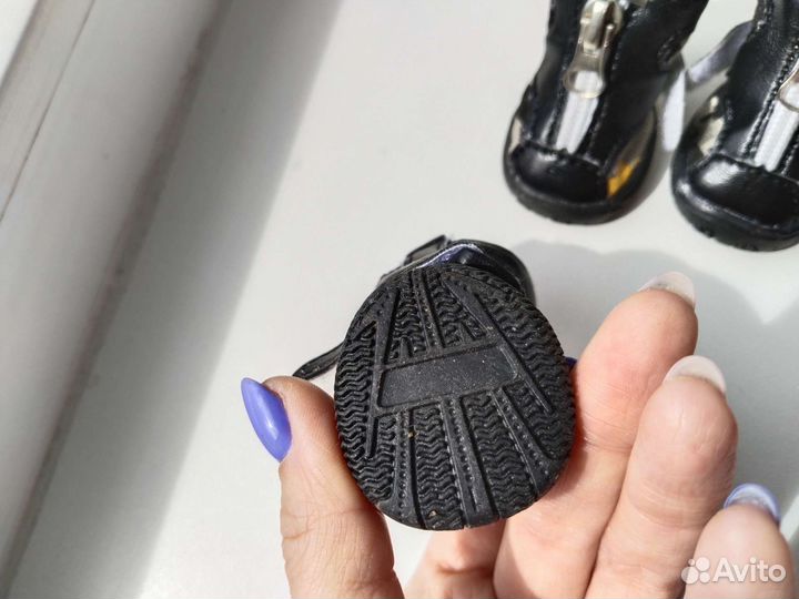 Кеды (ботинки, обувь) для собак, размер 2, JWL