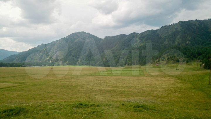 Участок 10 сот. (СНТ, ДНП)