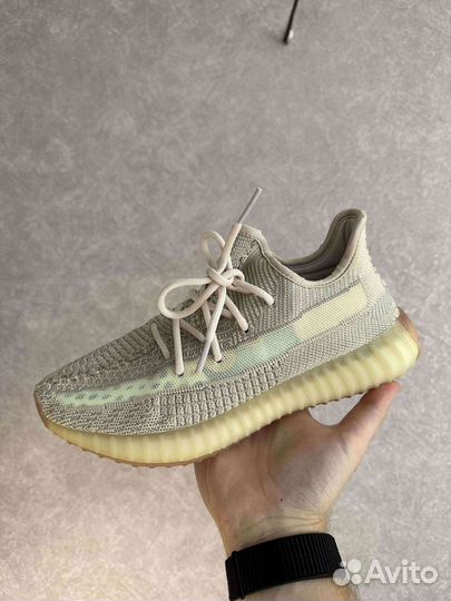 Adidas Yeezy Boost 350