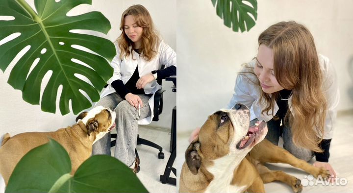 Ветеринарный врач