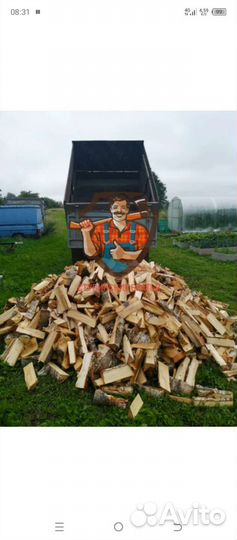 Дрова колотые